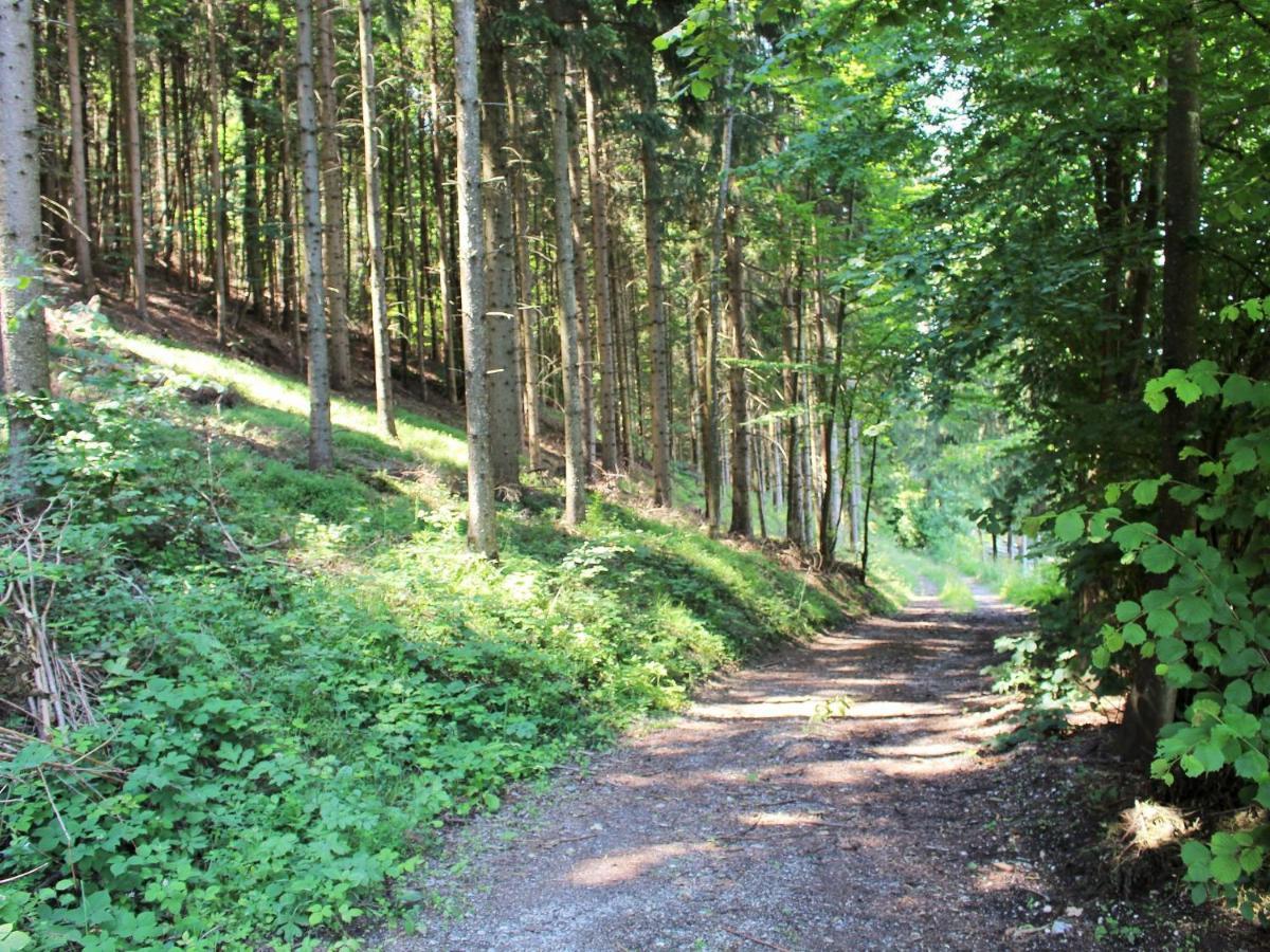 Cozy Apartment in K ttmannsdorf near Lake Wurdach Zewnętrze zdjęcie